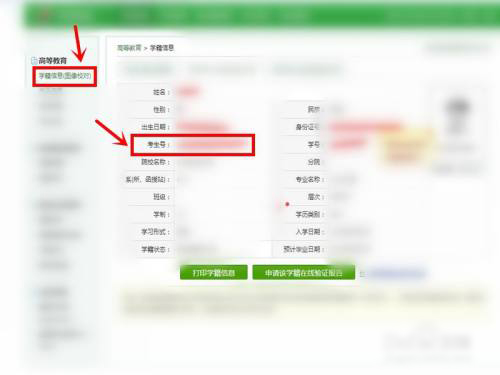 如何在学信网查询考生号