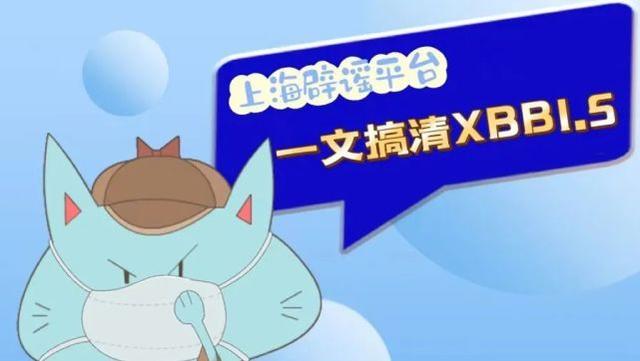 如何预防XBB毒株的传播？2022年应对之策揭秘！