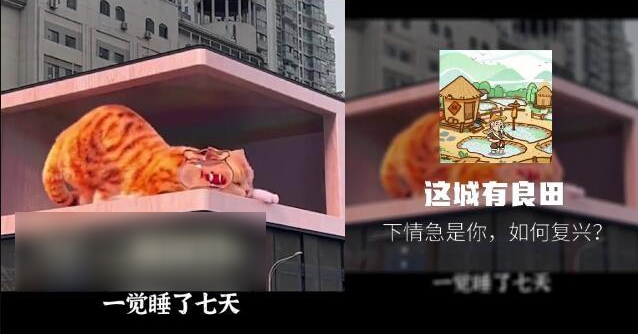 《这城有良田》怎么看僚属职业